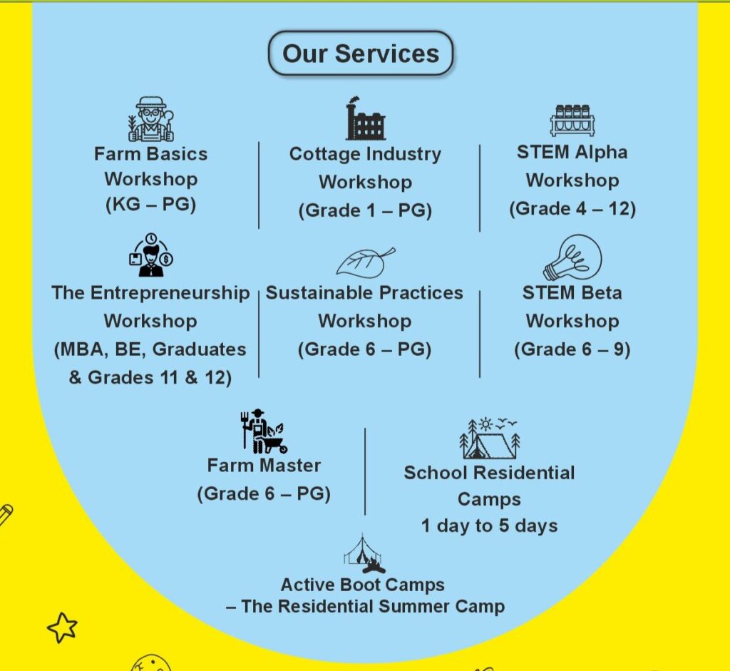 Our Services